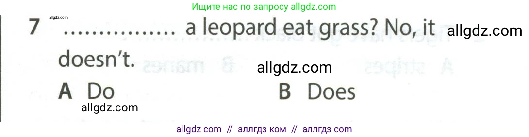 Английский язык (english), 5 класс контрольные задания (test booklet), авторы: Ваулина Юлия Евгеньевна (Vaulina Julia), Дули Дженни (Dooley Jenny), Подоляко Ольга Евгеньевна (Podolyako Olga), Эванс Вирджиния (Evans Virginia), издательство Просвещение, Москва, 2023, белого цвета, страница 105, номер 7, Условие 2023-2027