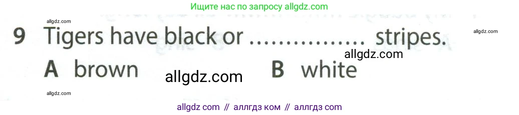 Английский язык (english), 5 класс контрольные задания (test booklet), авторы: Ваулина Юлия Евгеньевна (Vaulina Julia), Дули Дженни (Dooley Jenny), Подоляко Ольга Евгеньевна (Podolyako Olga), Эванс Вирджиния (Evans Virginia), издательство Просвещение, Москва, 2023, белого цвета, страница 105, номер 9, Условие 2023-2027