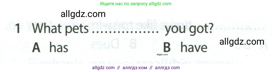 Английский язык (english), 5 класс контрольные задания (test booklet), авторы: Ваулина Юлия Евгеньевна (Vaulina Julia), Дули Дженни (Dooley Jenny), Подоляко Ольга Евгеньевна (Podolyako Olga), Эванс Вирджиния (Evans Virginia), издательство Просвещение, Москва, 2023, белого цвета, страница 106, номер 1, Условие 2023-2027