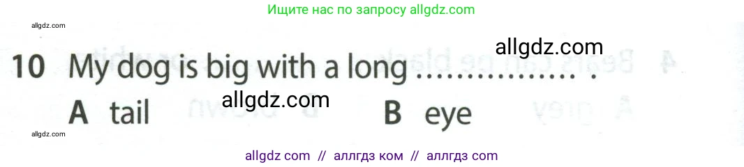 Английский язык (english), 5 класс контрольные задания (test booklet), авторы: Ваулина Юлия Евгеньевна (Vaulina Julia), Дули Дженни (Dooley Jenny), Подоляко Ольга Евгеньевна (Podolyako Olga), Эванс Вирджиния (Evans Virginia), издательство Просвещение, Москва, 2023, белого цвета, страница 106, номер 10, Условие 2023-2027
