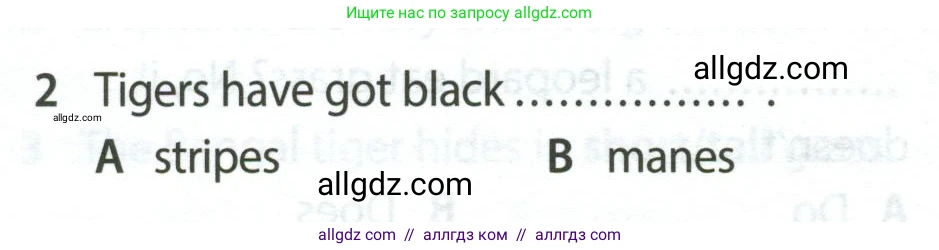 Английский язык (english), 5 класс контрольные задания (test booklet), авторы: Ваулина Юлия Евгеньевна (Vaulina Julia), Дули Дженни (Dooley Jenny), Подоляко Ольга Евгеньевна (Podolyako Olga), Эванс Вирджиния (Evans Virginia), издательство Просвещение, Москва, 2023, белого цвета, страница 106, номер 2, Условие 2023-2027