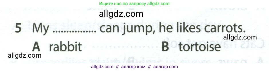 Английский язык (english), 5 класс контрольные задания (test booklet), авторы: Ваулина Юлия Евгеньевна (Vaulina Julia), Дули Дженни (Dooley Jenny), Подоляко Ольга Евгеньевна (Podolyako Olga), Эванс Вирджиния (Evans Virginia), издательство Просвещение, Москва, 2023, белого цвета, страница 106, номер 5, Условие 2023-2027