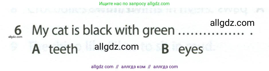 Английский язык (english), 5 класс контрольные задания (test booklet), авторы: Ваулина Юлия Евгеньевна (Vaulina Julia), Дули Дженни (Dooley Jenny), Подоляко Ольга Евгеньевна (Podolyako Olga), Эванс Вирджиния (Evans Virginia), издательство Просвещение, Москва, 2023, белого цвета, страница 106, номер 6, Условие 2023-2027