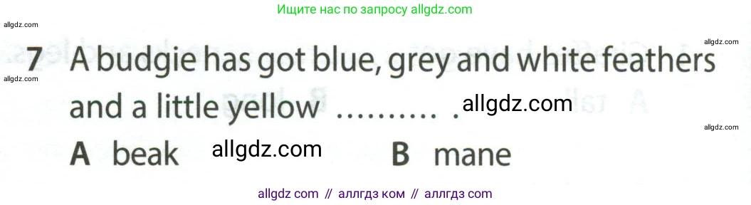 Английский язык (english), 5 класс контрольные задания (test booklet), авторы: Ваулина Юлия Евгеньевна (Vaulina Julia), Дули Дженни (Dooley Jenny), Подоляко Ольга Евгеньевна (Podolyako Olga), Эванс Вирджиния (Evans Virginia), издательство Просвещение, Москва, 2023, белого цвета, страница 106, номер 7, Условие 2023-2027