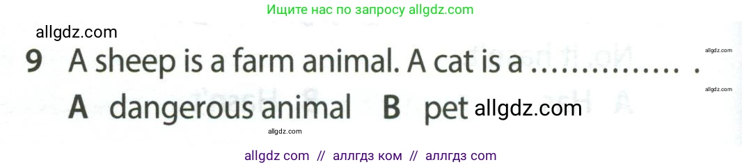 Английский язык (english), 5 класс контрольные задания (test booklet), авторы: Ваулина Юлия Евгеньевна (Vaulina Julia), Дули Дженни (Dooley Jenny), Подоляко Ольга Евгеньевна (Podolyako Olga), Эванс Вирджиния (Evans Virginia), издательство Просвещение, Москва, 2023, белого цвета, страница 106, номер 9, Условие 2023-2027