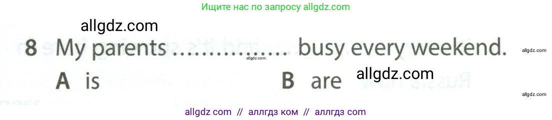Английский язык (english), 5 класс контрольные задания (test booklet), авторы: Ваулина Юлия Евгеньевна (Vaulina Julia), Дули Дженни (Dooley Jenny), Подоляко Ольга Евгеньевна (Podolyako Olga), Эванс Вирджиния (Evans Virginia), издательство Просвещение, Москва, 2023, белого цвета, страница 109, номер 8, Условие 2023-2027