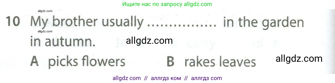Английский язык (english), 5 класс контрольные задания (test booklet), авторы: Ваулина Юлия Евгеньевна (Vaulina Julia), Дули Дженни (Dooley Jenny), Подоляко Ольга Евгеньевна (Podolyako Olga), Эванс Вирджиния (Evans Virginia), издательство Просвещение, Москва, 2023, белого цвета, страница 110, номер 10, Условие 2023-2027