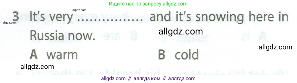 Английский язык (english), 5 класс контрольные задания (test booklet), авторы: Ваулина Юлия Евгеньевна (Vaulina Julia), Дули Дженни (Dooley Jenny), Подоляко Ольга Евгеньевна (Podolyako Olga), Эванс Вирджиния (Evans Virginia), издательство Просвещение, Москва, 2023, белого цвета, страница 110, номер 3, Условие 2023-2027
