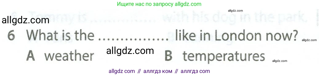Английский язык (english), 5 класс контрольные задания (test booklet), авторы: Ваулина Юлия Евгеньевна (Vaulina Julia), Дули Дженни (Dooley Jenny), Подоляко Ольга Евгеньевна (Podolyako Olga), Эванс Вирджиния (Evans Virginia), издательство Просвещение, Москва, 2023, белого цвета, страница 110, номер 6, Условие 2023-2027