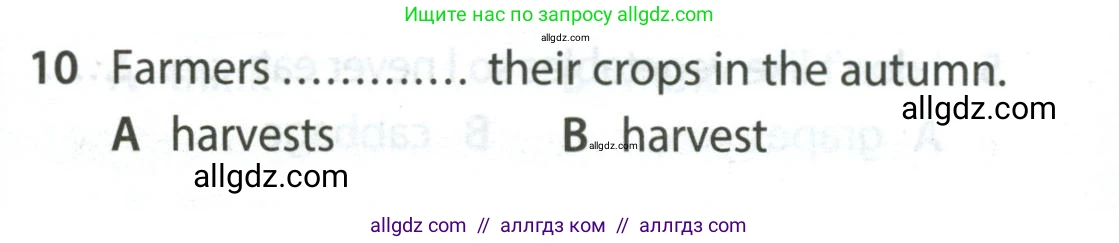 Английский язык (english), 5 класс контрольные задания (test booklet), авторы: Ваулина Юлия Евгеньевна (Vaulina Julia), Дули Дженни (Dooley Jenny), Подоляко Ольга Евгеньевна (Podolyako Olga), Эванс Вирджиния (Evans Virginia), издательство Просвещение, Москва, 2023, белого цвета, страница 113, номер 10, Условие 2023-2027