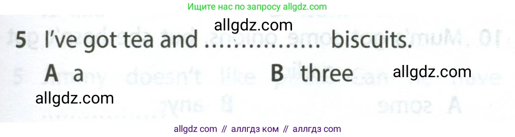 Английский язык (english), 5 класс контрольные задания (test booklet), авторы: Ваулина Юлия Евгеньевна (Vaulina Julia), Дули Дженни (Dooley Jenny), Подоляко Ольга Евгеньевна (Podolyako Olga), Эванс Вирджиния (Evans Virginia), издательство Просвещение, Москва, 2023, белого цвета, страница 113, номер 5, Условие 2023-2027