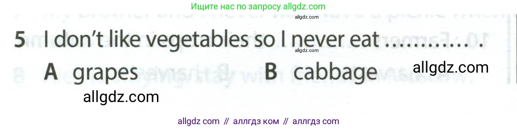 Английский язык (english), 5 класс контрольные задания (test booklet), авторы: Ваулина Юлия Евгеньевна (Vaulina Julia), Дули Дженни (Dooley Jenny), Подоляко Ольга Евгеньевна (Podolyako Olga), Эванс Вирджиния (Evans Virginia), издательство Просвещение, Москва, 2023, белого цвета, страница 114, номер 5, Условие 2023-2027