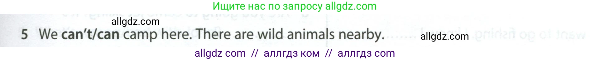 Английский язык (english), 5 класс контрольные задания (test booklet), авторы: Ваулина Юлия Евгеньевна (Vaulina Julia), Дули Дженни (Dooley Jenny), Подоляко Ольга Евгеньевна (Podolyako Olga), Эванс Вирджиния (Evans Virginia), издательство Просвещение, Москва, 2023, белого цвета, страница 119, номер 5, Условие 2023-2027