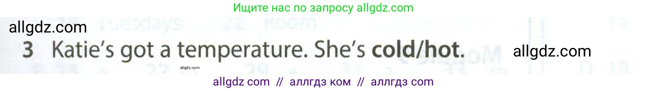 Английский язык (english), 5 класс контрольные задания (test booklet), авторы: Ваулина Юлия Евгеньевна (Vaulina Julia), Дули Дженни (Dooley Jenny), Подоляко Ольга Евгеньевна (Podolyako Olga), Эванс Вирджиния (Evans Virginia), издательство Просвещение, Москва, 2023, белого цвета, страница 121, номер 3, Условие 2023-2027