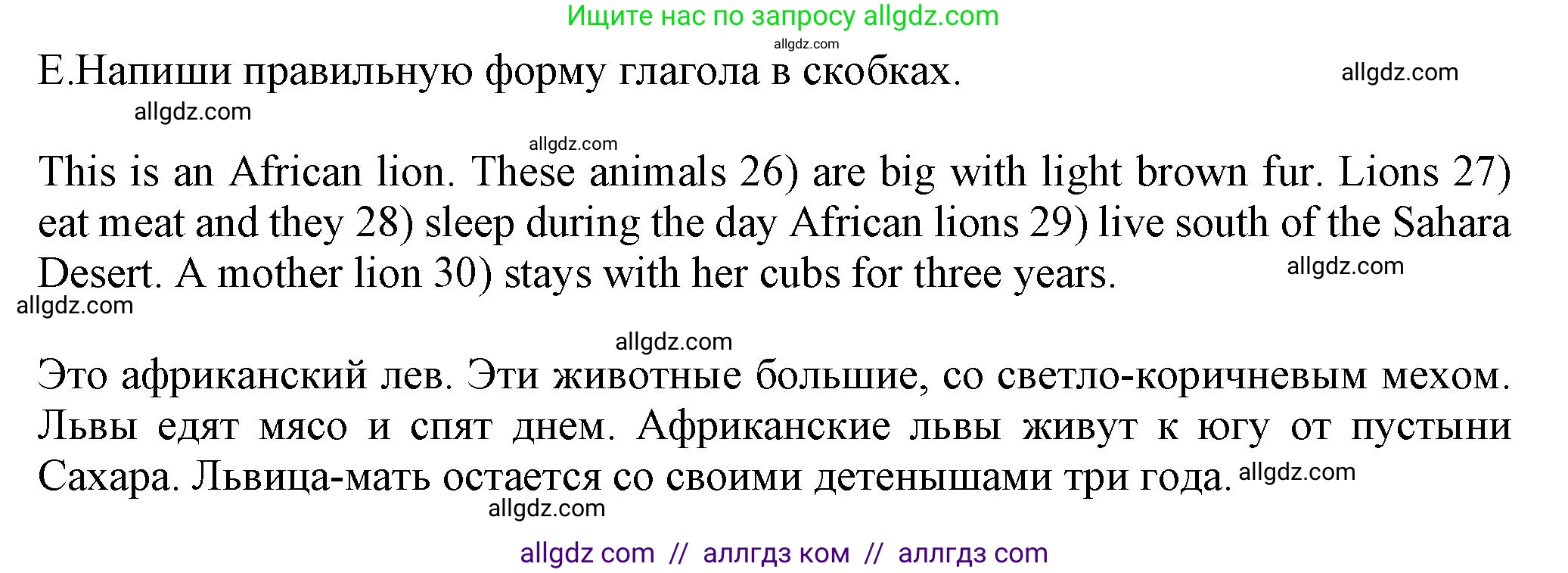 Английский язык (english), 5 класс контрольные задания (test booklet), авторы: Ваулина Юлия Евгеньевна (Vaulina Julia), Дули Дженни (Dooley Jenny), Подоляко Ольга Евгеньевна (Podolyako Olga), Эванс Вирджиния (Evans Virginia), издательство Просвещение, Москва, 2023, белого цвета, страница 42, номер E (26-30), Решение 1 (2023-2027)