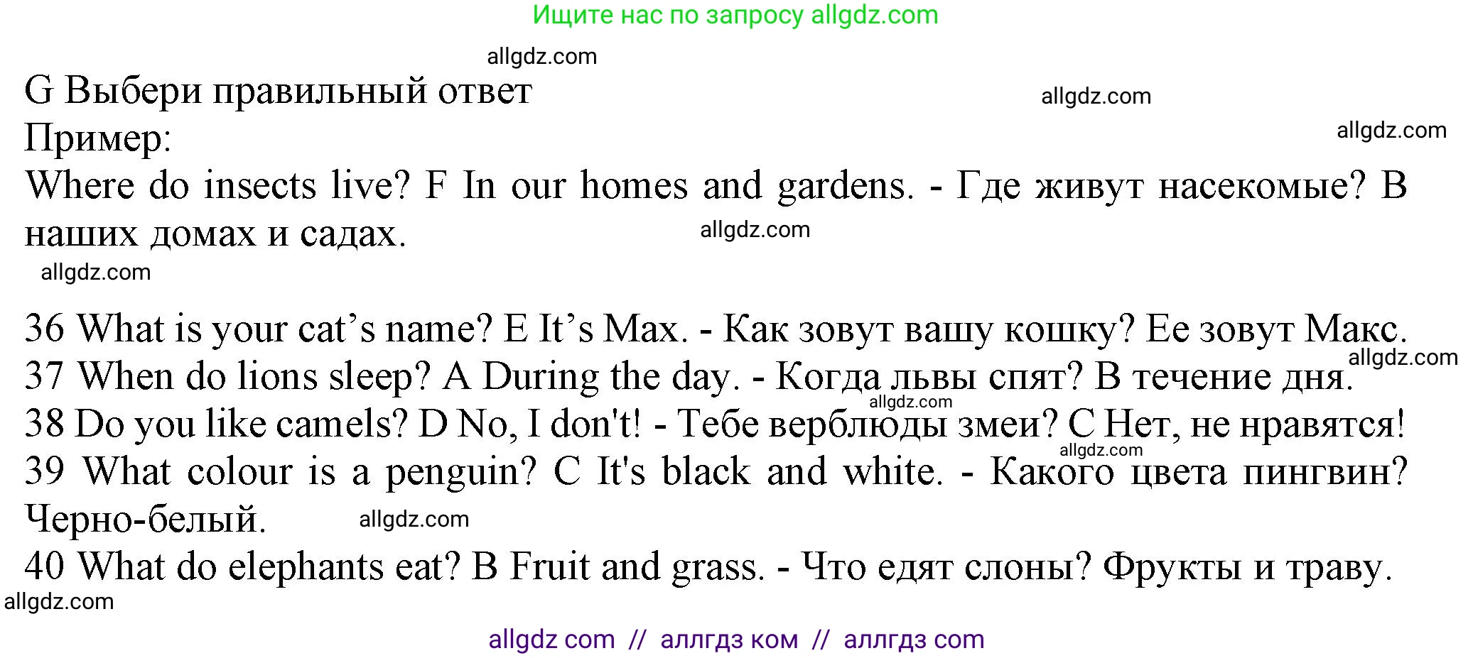 Английский язык (english), 5 класс контрольные задания (test booklet), авторы: Ваулина Юлия Евгеньевна (Vaulina Julia), Дули Дженни (Dooley Jenny), Подоляко Ольга Евгеньевна (Podolyako Olga), Эванс Вирджиния (Evans Virginia), издательство Просвещение, Москва, 2023, белого цвета, страница 42, номер G (36-40), Решение 1 (2023-2027)