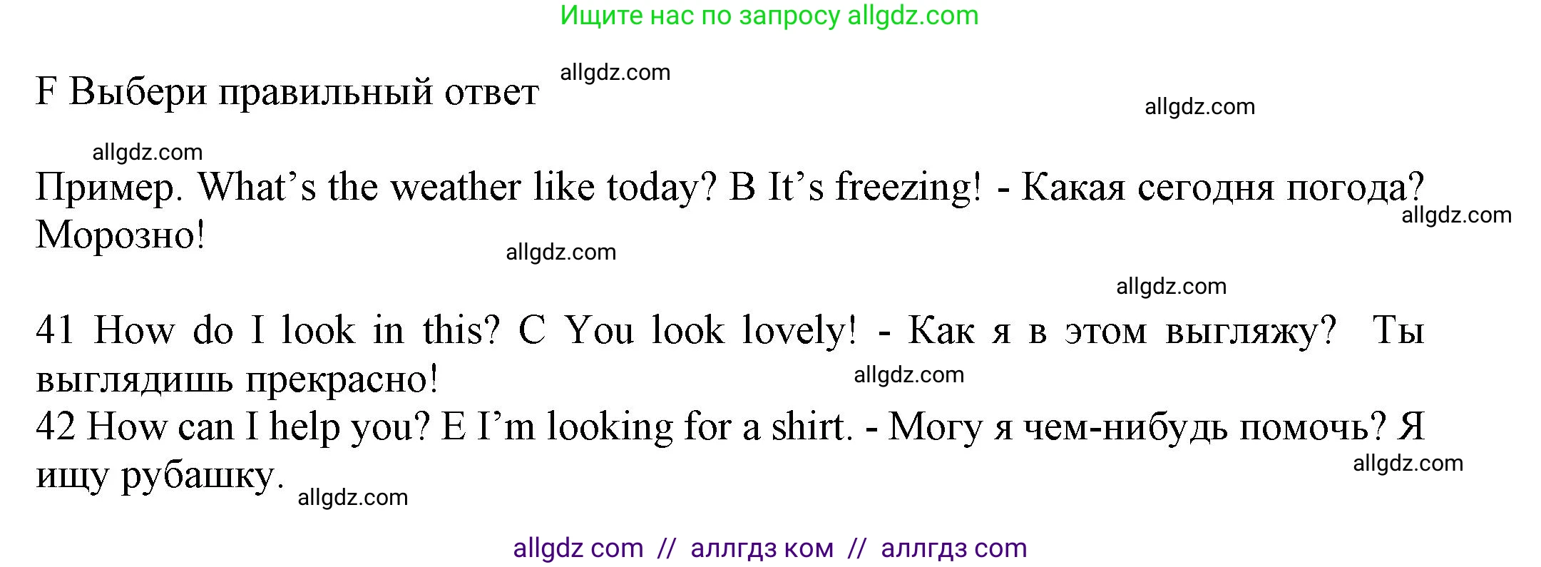 Английский язык (english), 5 класс контрольные задания (test booklet), авторы: Ваулина Юлия Евгеньевна (Vaulina Julia), Дули Дженни (Dooley Jenny), Подоляко Ольга Евгеньевна (Podolyako Olga), Эванс Вирджиния (Evans Virginia), издательство Просвещение, Москва, 2023, белого цвета, страница 63, номер F (41-45), Решение 1 (2023-2027)