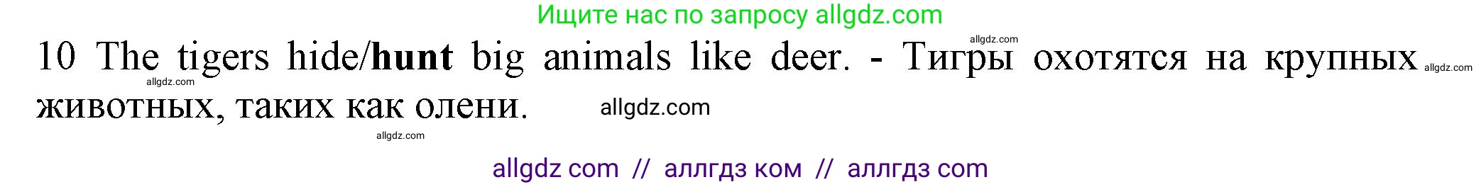 Английский язык (english), 5 класс контрольные задания (test booklet), авторы: Ваулина Юлия Евгеньевна (Vaulina Julia), Дули Дженни (Dooley Jenny), Подоляко Ольга Евгеньевна (Podolyako Olga), Эванс Вирджиния (Evans Virginia), издательство Просвещение, Москва, 2023, белого цвета, страница 104, номер 10, Решение 1 (2023-2027)