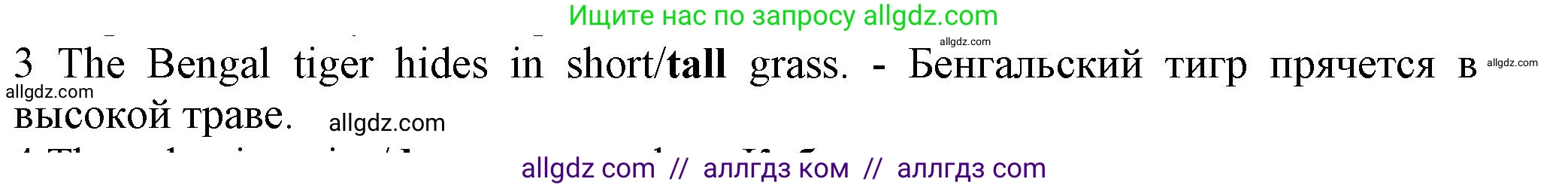 Английский язык (english), 5 класс контрольные задания (test booklet), авторы: Ваулина Юлия Евгеньевна (Vaulina Julia), Дули Дженни (Dooley Jenny), Подоляко Ольга Евгеньевна (Podolyako Olga), Эванс Вирджиния (Evans Virginia), издательство Просвещение, Москва, 2023, белого цвета, страница 104, номер 3, Решение 1 (2023-2027)
