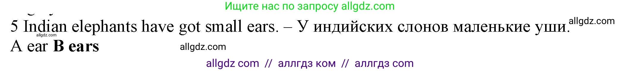 Английский язык (english), 5 класс контрольные задания (test booklet), авторы: Ваулина Юлия Евгеньевна (Vaulina Julia), Дули Дженни (Dooley Jenny), Подоляко Ольга Евгеньевна (Podolyako Olga), Эванс Вирджиния (Evans Virginia), издательство Просвещение, Москва, 2023, белого цвета, страница 105, номер 5, Решение 1 (2023-2027)