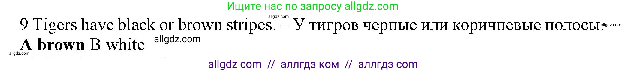 Английский язык (english), 5 класс контрольные задания (test booklet), авторы: Ваулина Юлия Евгеньевна (Vaulina Julia), Дули Дженни (Dooley Jenny), Подоляко Ольга Евгеньевна (Podolyako Olga), Эванс Вирджиния (Evans Virginia), издательство Просвещение, Москва, 2023, белого цвета, страница 105, номер 9, Решение 1 (2023-2027)