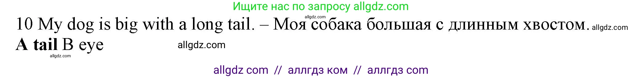 Английский язык (english), 5 класс контрольные задания (test booklet), авторы: Ваулина Юлия Евгеньевна (Vaulina Julia), Дули Дженни (Dooley Jenny), Подоляко Ольга Евгеньевна (Podolyako Olga), Эванс Вирджиния (Evans Virginia), издательство Просвещение, Москва, 2023, белого цвета, страница 106, номер 10, Решение 1 (2023-2027)