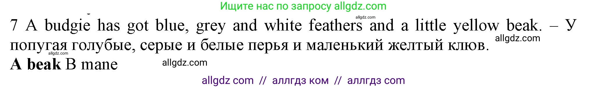 Английский язык (english), 5 класс контрольные задания (test booklet), авторы: Ваулина Юлия Евгеньевна (Vaulina Julia), Дули Дженни (Dooley Jenny), Подоляко Ольга Евгеньевна (Podolyako Olga), Эванс Вирджиния (Evans Virginia), издательство Просвещение, Москва, 2023, белого цвета, страница 106, номер 7, Решение 1 (2023-2027)