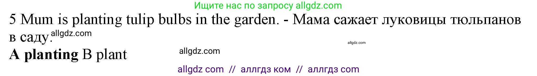 Английский язык (english), 5 класс контрольные задания (test booklet), авторы: Ваулина Юлия Евгеньевна (Vaulina Julia), Дули Дженни (Dooley Jenny), Подоляко Ольга Евгеньевна (Podolyako Olga), Эванс Вирджиния (Evans Virginia), издательство Просвещение, Москва, 2023, белого цвета, страница 110, номер 5, Решение 1 (2023-2027)
