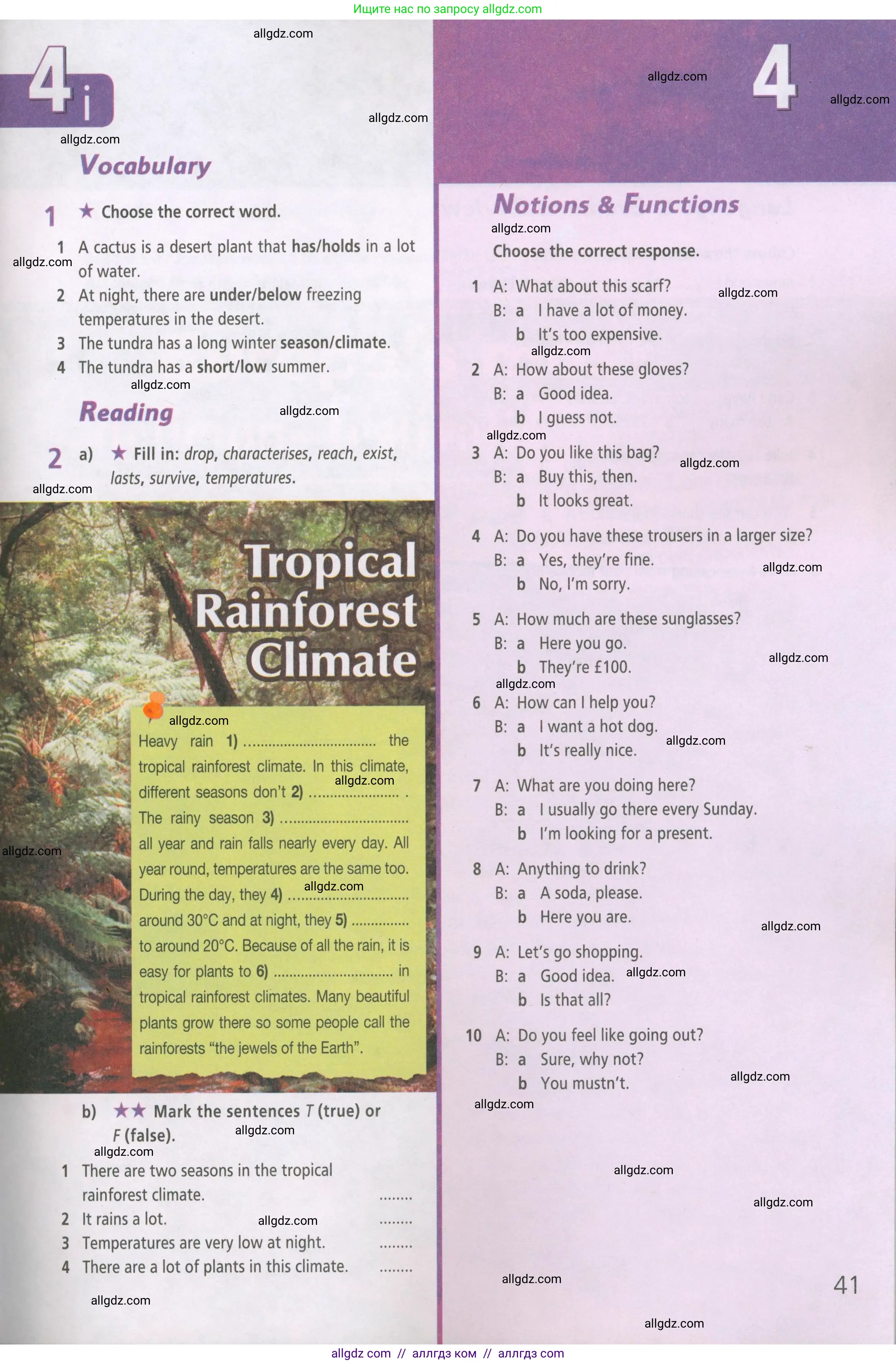 Английский язык (english), 5 класс Рабочая тетрадь (workbook), авторы: Баранова Ксения Михайловна (Baranova Ksenia), Дули Дженни (Dooley Jenny), Копылова Виктория Викторовна (Kopylova Victoria), Мильруд Радислав Петрович (Millrood Radislav), Эванс Вирджиния (Evans Virginia), издательство Просвещение, Москва, 2023, белого цвета, страница 41