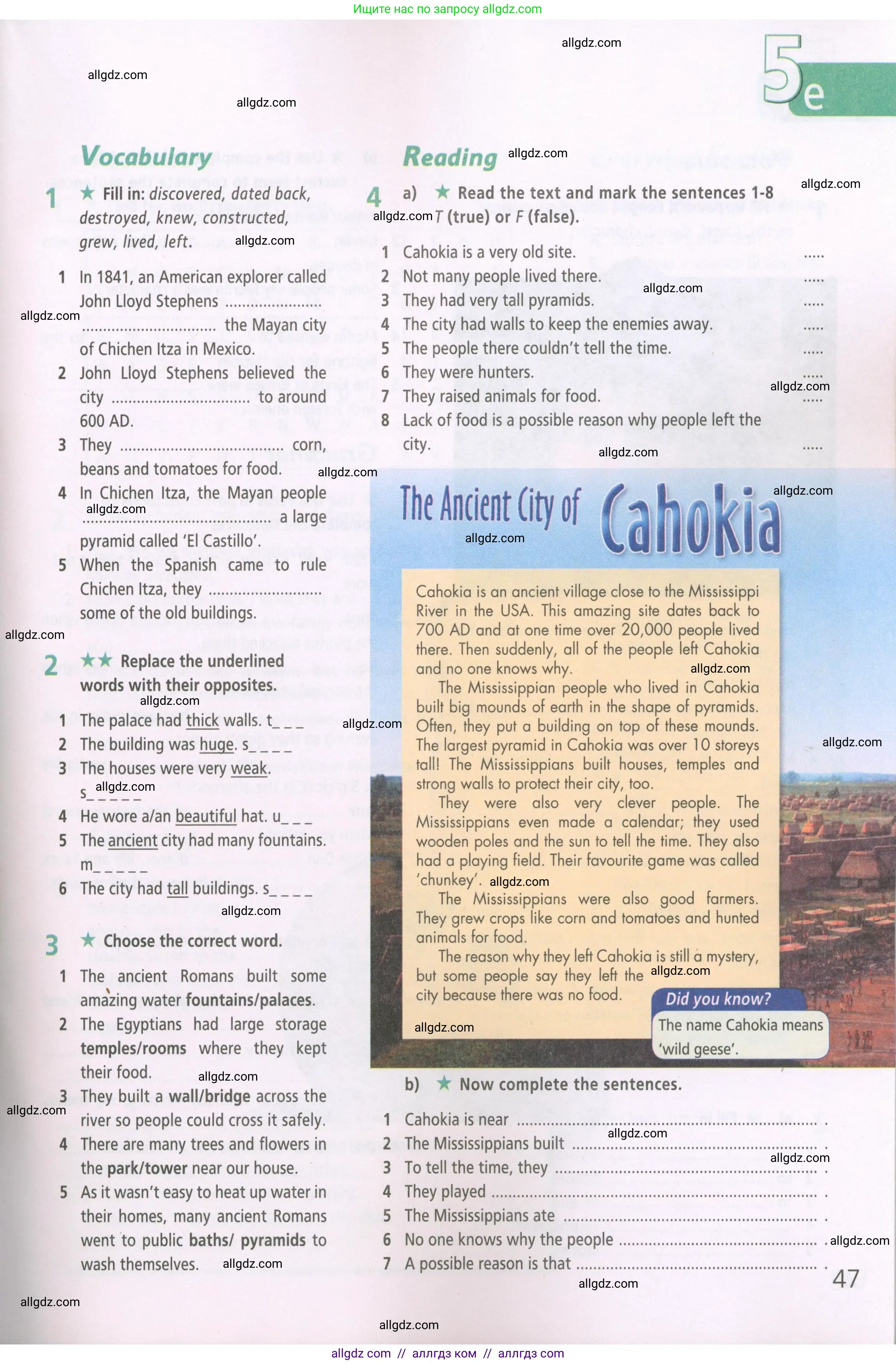 Английский язык (english), 5 класс Рабочая тетрадь (workbook), авторы: Баранова Ксения Михайловна (Baranova Ksenia), Дули Дженни (Dooley Jenny), Копылова Виктория Викторовна (Kopylova Victoria), Мильруд Радислав Петрович (Millrood Radislav), Эванс Вирджиния (Evans Virginia), издательство Просвещение, Москва, 2023, белого цвета, страница 47