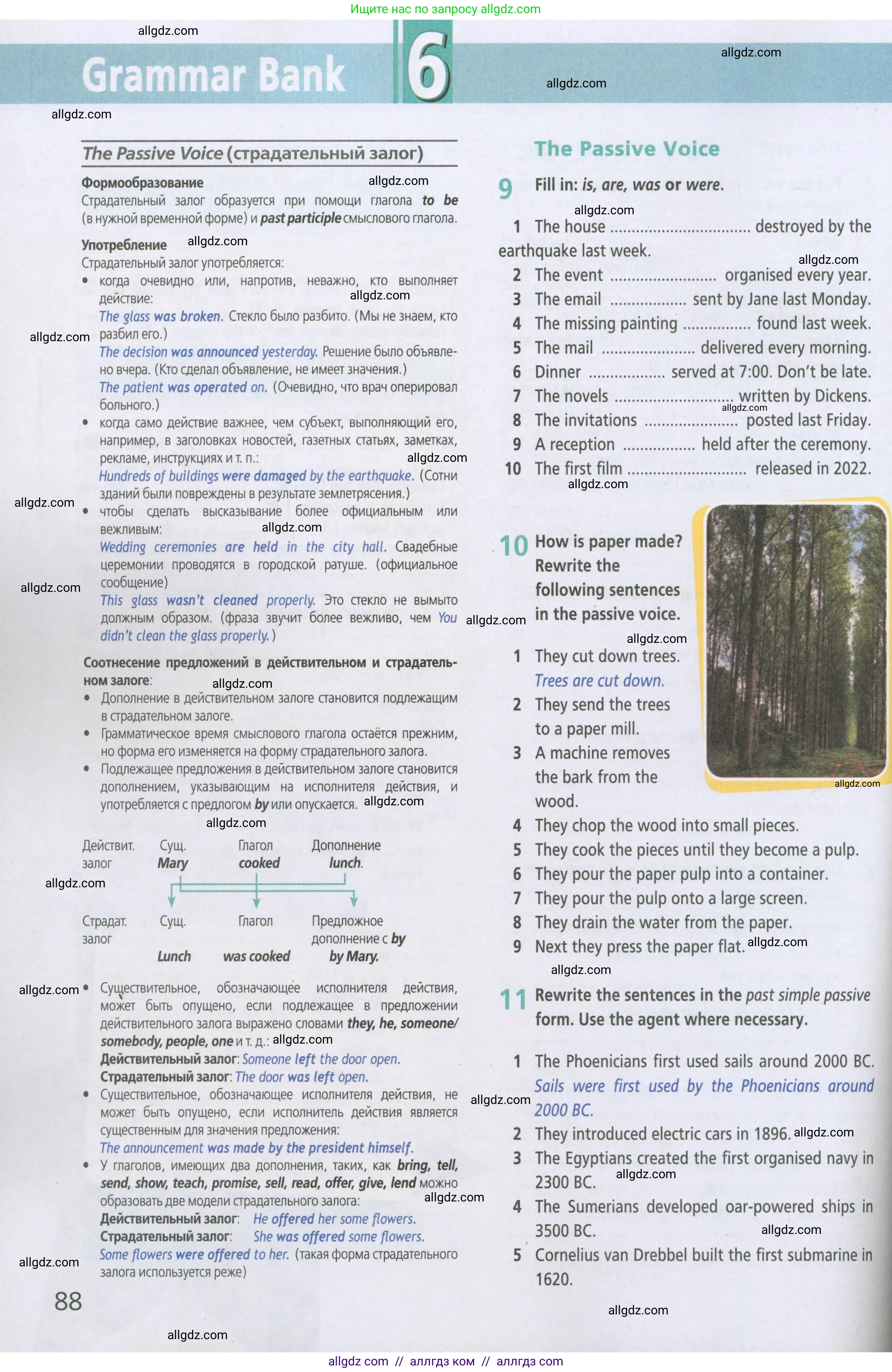 Английский язык (english), 5 класс Рабочая тетрадь (workbook), авторы: Баранова Ксения Михайловна (Baranova Ksenia), Дули Дженни (Dooley Jenny), Копылова Виктория Викторовна (Kopylova Victoria), Мильруд Радислав Петрович (Millrood Radislav), Эванс Вирджиния (Evans Virginia), издательство Просвещение, Москва, 2023, белого цвета, страница 88