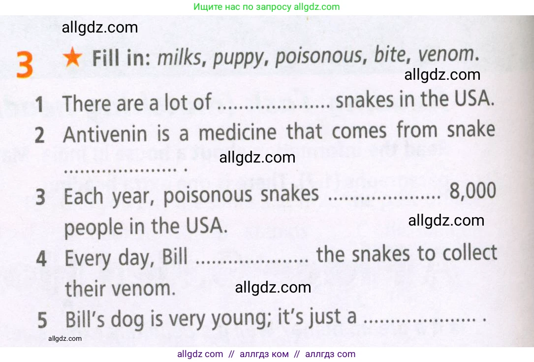 Английский язык (english), 5 класс Рабочая тетрадь (workbook), авторы: Баранова Ксения Михайловна (Baranova Ksenia), Дули Дженни (Dooley Jenny), Копылова Виктория Викторовна (Kopylova Victoria), Мильруд Радислав Петрович (Millrood Radislav), Эванс Вирджиния (Evans Virginia), издательство Просвещение, Москва, 2023, белого цвета, страница 24, номер 3, Условие