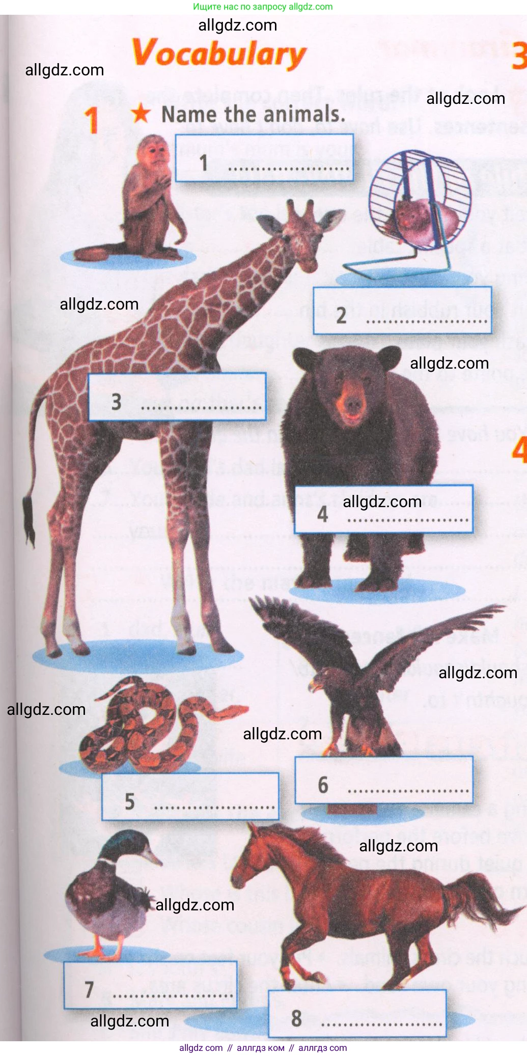 Английский язык (english), 5 класс Рабочая тетрадь (workbook), авторы: Баранова Ксения Михайловна (Baranova Ksenia), Дули Дженни (Dooley Jenny), Копылова Виктория Викторовна (Kopylova Victoria), Мильруд Радислав Петрович (Millrood Radislav), Эванс Вирджиния (Evans Virginia), издательство Просвещение, Москва, 2023, белого цвета, страница 27, номер 1, Условие