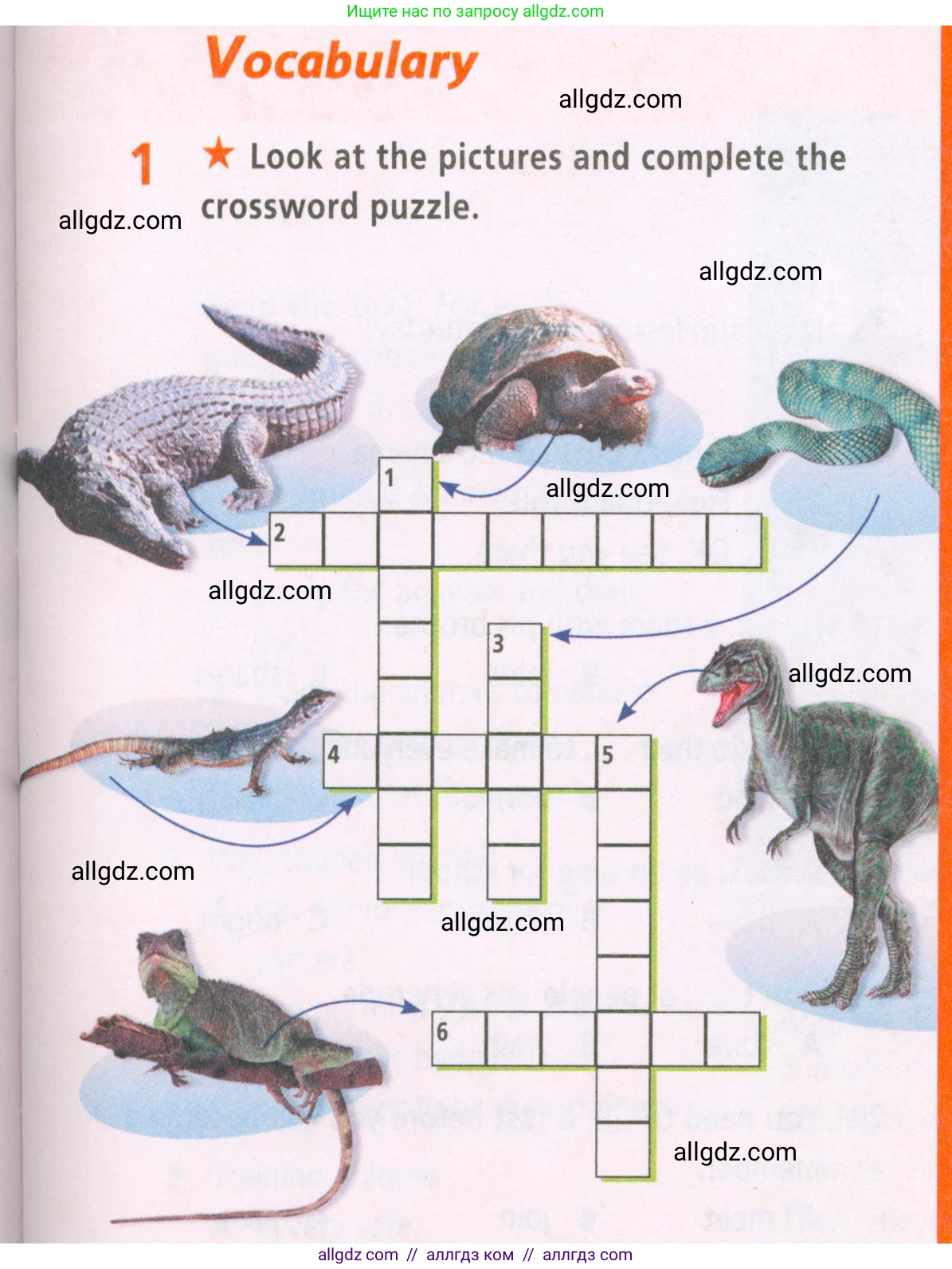 Английский язык (english), 5 класс Рабочая тетрадь (workbook), авторы: Баранова Ксения Михайловна (Baranova Ksenia), Дули Дженни (Dooley Jenny), Копылова Виктория Викторовна (Kopylova Victoria), Мильруд Радислав Петрович (Millrood Radislav), Эванс Вирджиния (Evans Virginia), издательство Просвещение, Москва, 2023, белого цвета, страница 31, номер 1, Условие