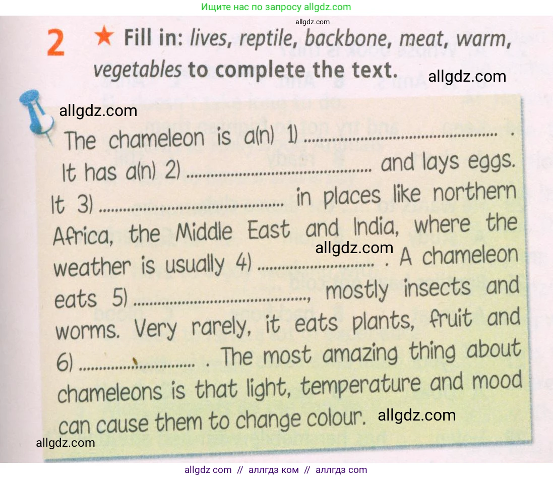 Английский язык (english), 5 класс Рабочая тетрадь (workbook), авторы: Баранова Ксения Михайловна (Baranova Ksenia), Дули Дженни (Dooley Jenny), Копылова Виктория Викторовна (Kopylova Victoria), Мильруд Радислав Петрович (Millrood Radislav), Эванс Вирджиния (Evans Virginia), издательство Просвещение, Москва, 2023, белого цвета, страница 31, номер 2, Условие