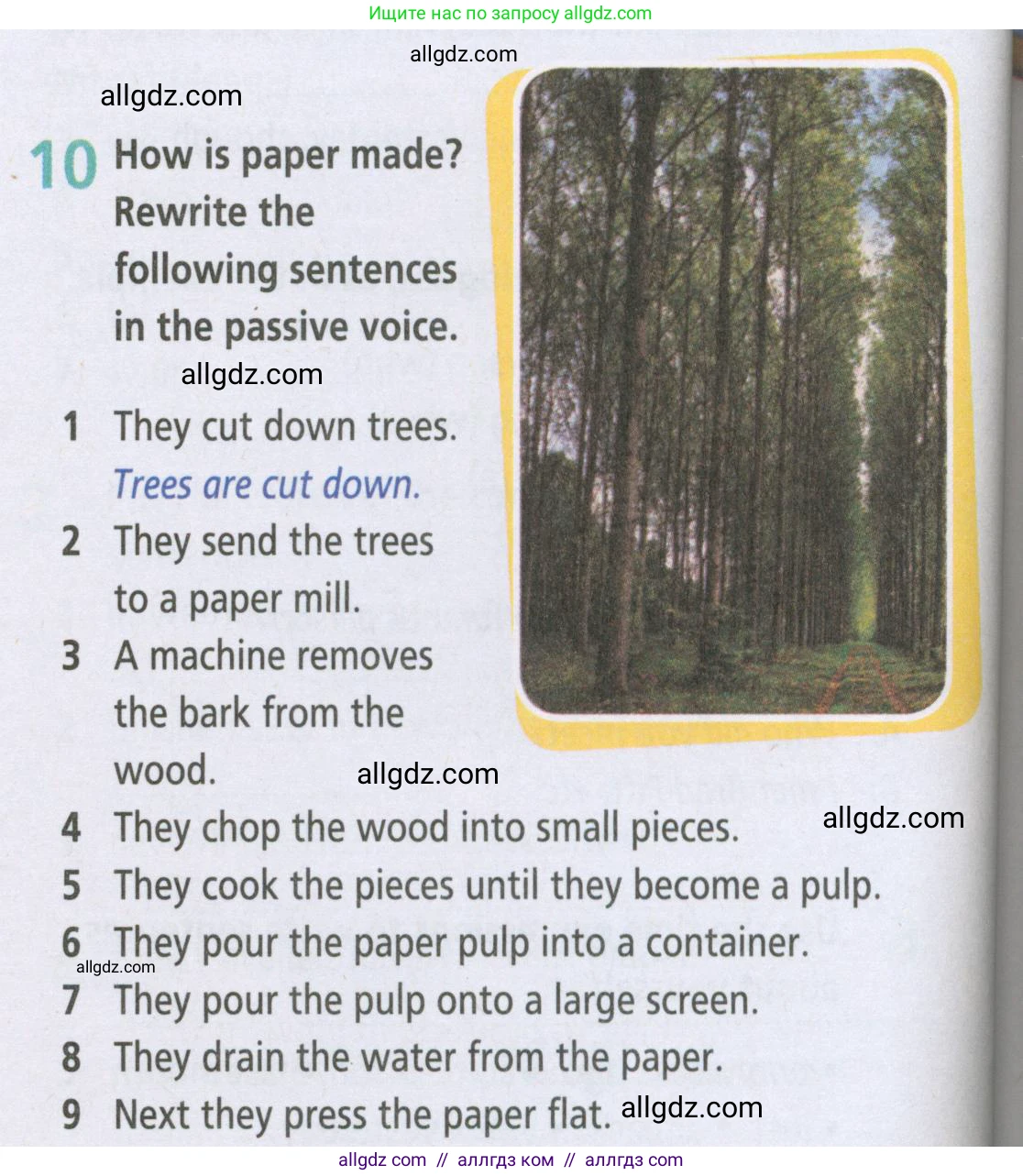 Английский язык (english), 5 класс Рабочая тетрадь (workbook), авторы: Баранова Ксения Михайловна (Baranova Ksenia), Дули Дженни (Dooley Jenny), Копылова Виктория Викторовна (Kopylova Victoria), Мильруд Радислав Петрович (Millrood Radislav), Эванс Вирджиния (Evans Virginia), издательство Просвещение, Москва, 2023, белого цвета, страница 88, номер 10, Условие