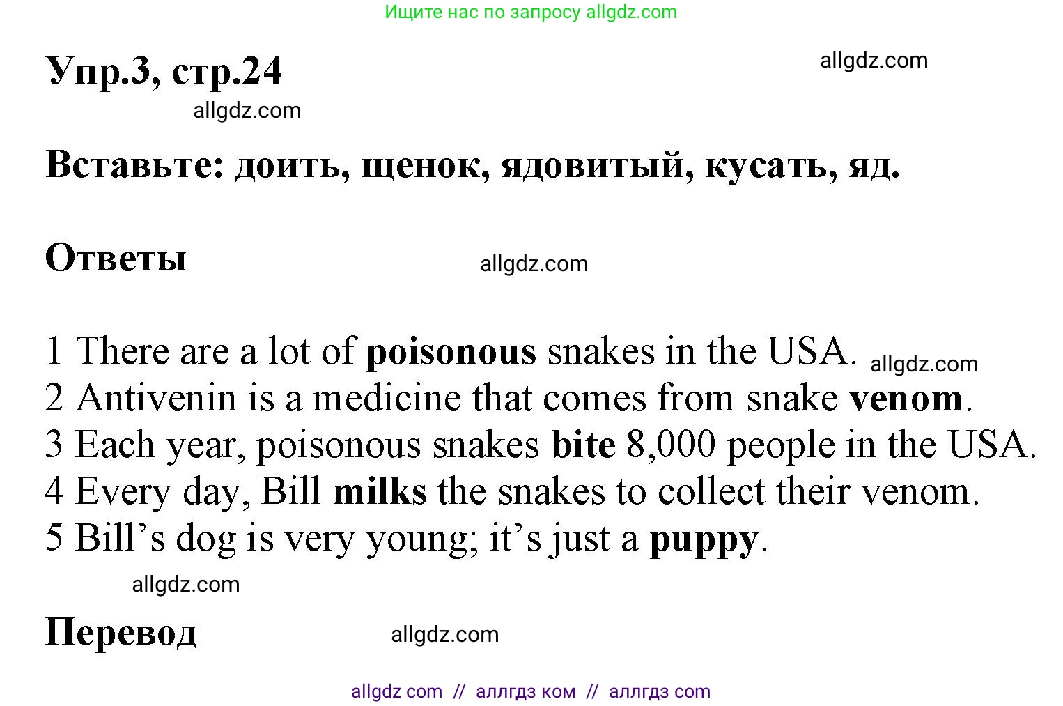 Английский язык (english), 5 класс Рабочая тетрадь (workbook), авторы: Баранова Ксения Михайловна (Baranova Ksenia), Дули Дженни (Dooley Jenny), Копылова Виктория Викторовна (Kopylova Victoria), Мильруд Радислав Петрович (Millrood Radislav), Эванс Вирджиния (Evans Virginia), издательство Просвещение, Москва, 2023, белого цвета, страница 24, номер 3, Решение 1