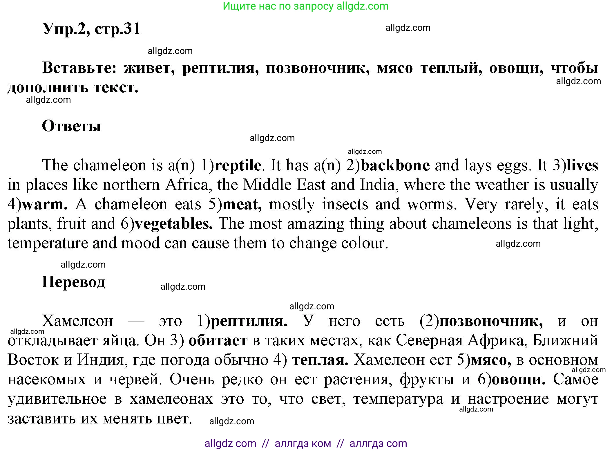 Английский язык (english), 5 класс Рабочая тетрадь (workbook), авторы: Баранова Ксения Михайловна (Baranova Ksenia), Дули Дженни (Dooley Jenny), Копылова Виктория Викторовна (Kopylova Victoria), Мильруд Радислав Петрович (Millrood Radislav), Эванс Вирджиния (Evans Virginia), издательство Просвещение, Москва, 2023, белого цвета, страница 31, номер 2, Решение 1