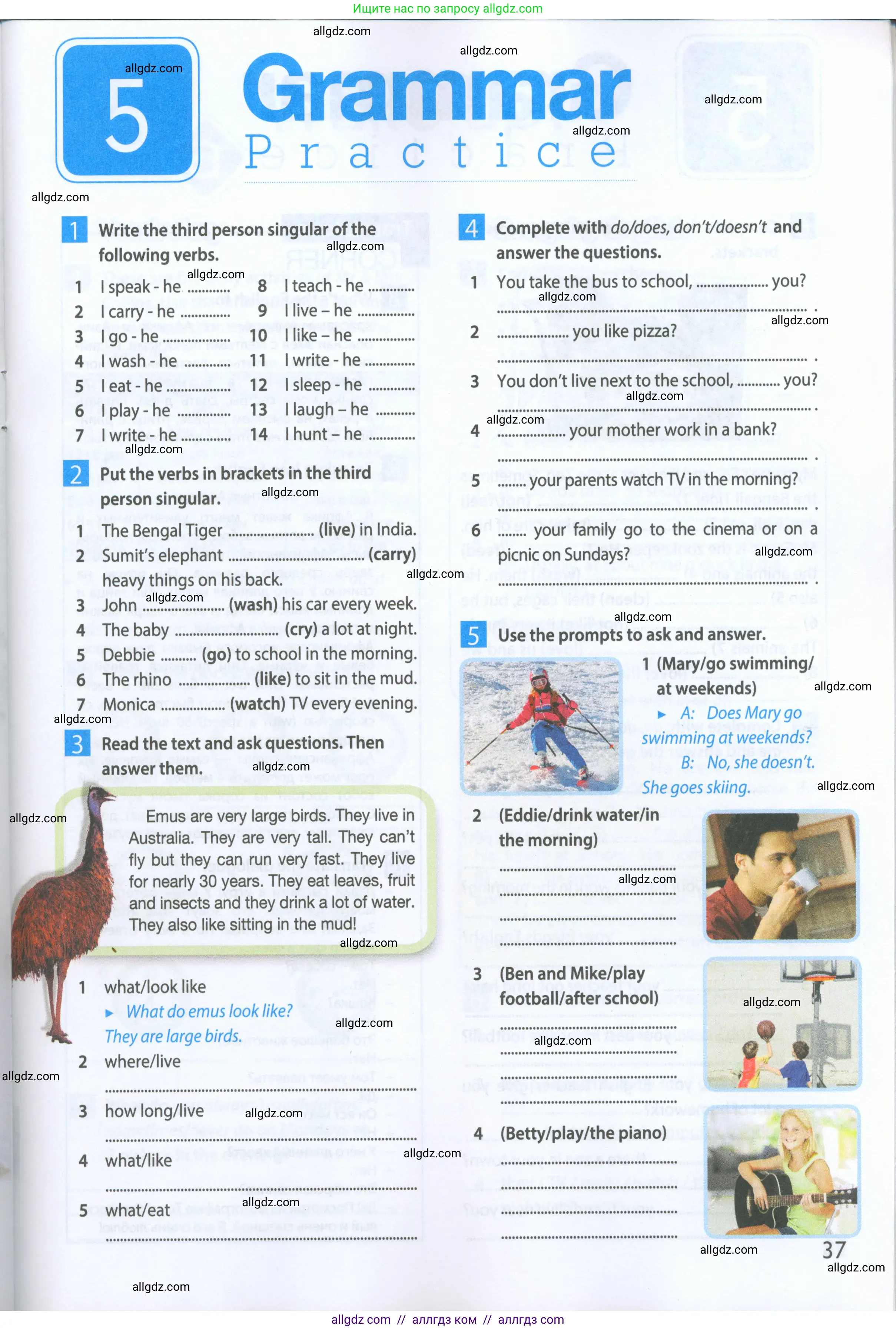 Английский язык (english), 5 класс Рабочая тетрадь (workbook), авторы: Ваулина Юлия Евгеньевна (Vaulina Julia), Дули Дженни (Dooley Jenny), Подоляко Ольга Евгеньевна (Podolyako Olga), Эванс Вирджиния (Evans Virginia), издательство Просвещение, Москва, 2023, жёлтого цвета, страница 37