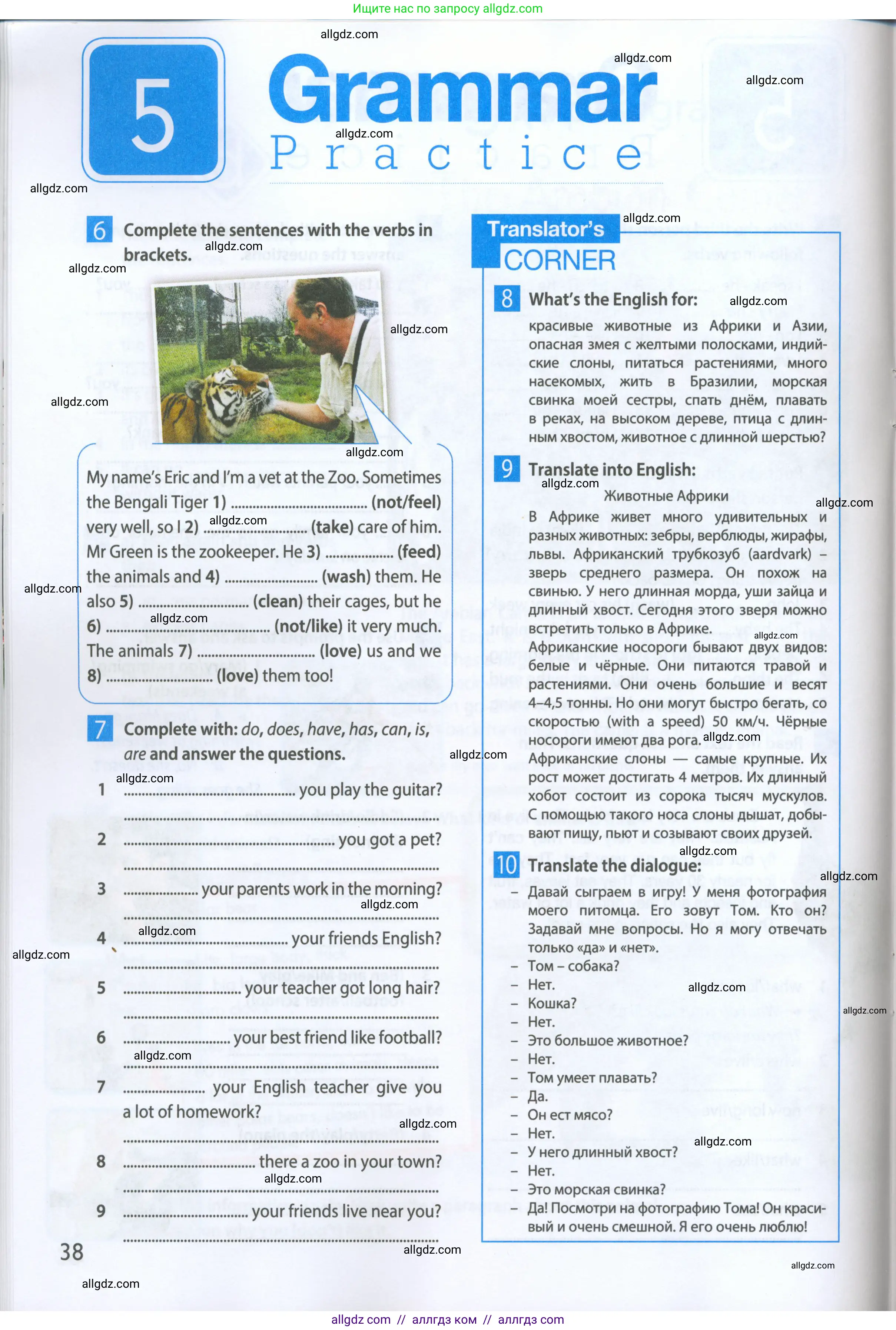 Английский язык (english), 5 класс Рабочая тетрадь (workbook), авторы: Ваулина Юлия Евгеньевна (Vaulina Julia), Дули Дженни (Dooley Jenny), Подоляко Ольга Евгеньевна (Podolyako Olga), Эванс Вирджиния (Evans Virginia), издательство Просвещение, Москва, 2023, жёлтого цвета, страница 38
