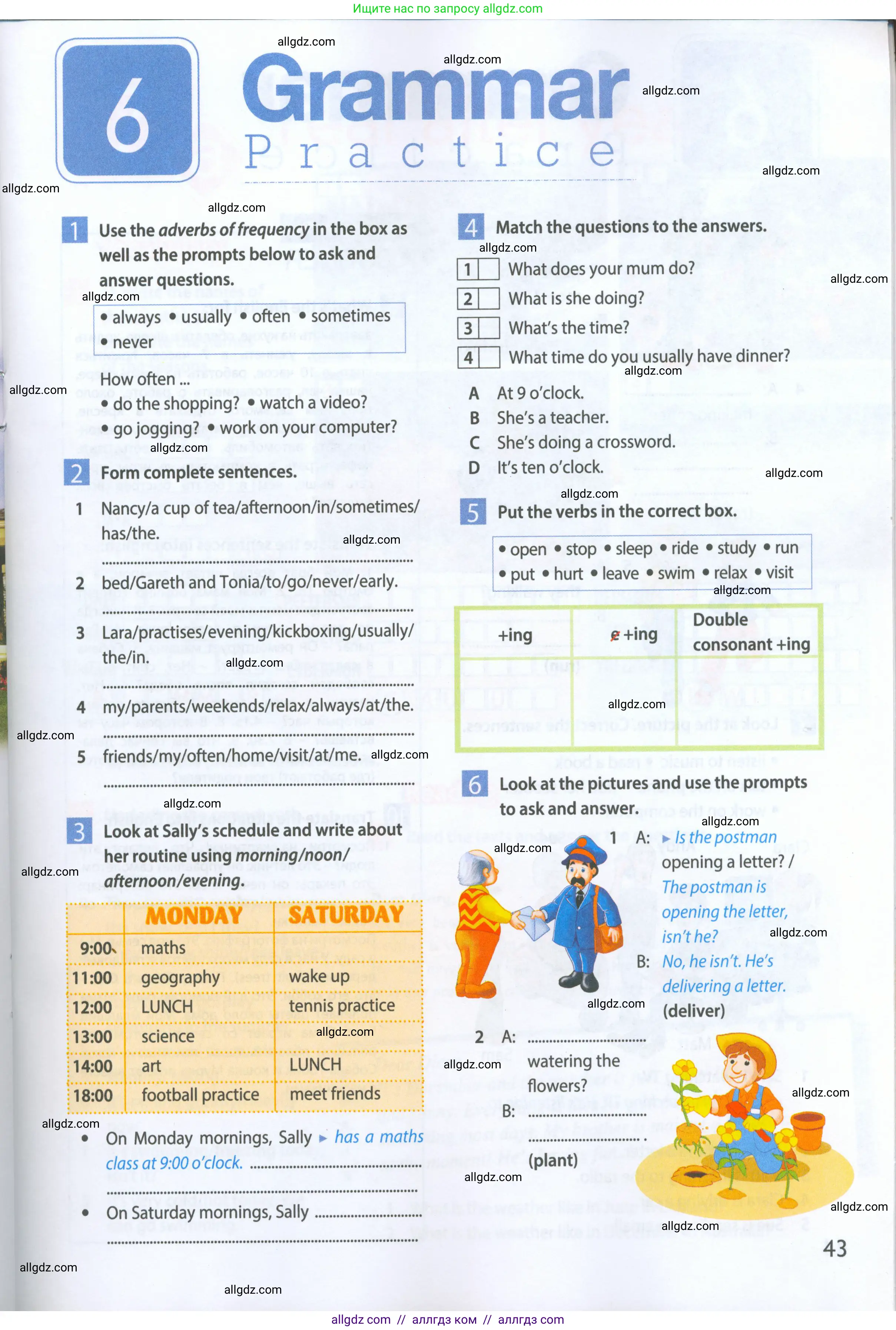Английский язык (english), 5 класс Рабочая тетрадь (workbook), авторы: Ваулина Юлия Евгеньевна (Vaulina Julia), Дули Дженни (Dooley Jenny), Подоляко Ольга Евгеньевна (Podolyako Olga), Эванс Вирджиния (Evans Virginia), издательство Просвещение, Москва, 2023, жёлтого цвета, страница 43