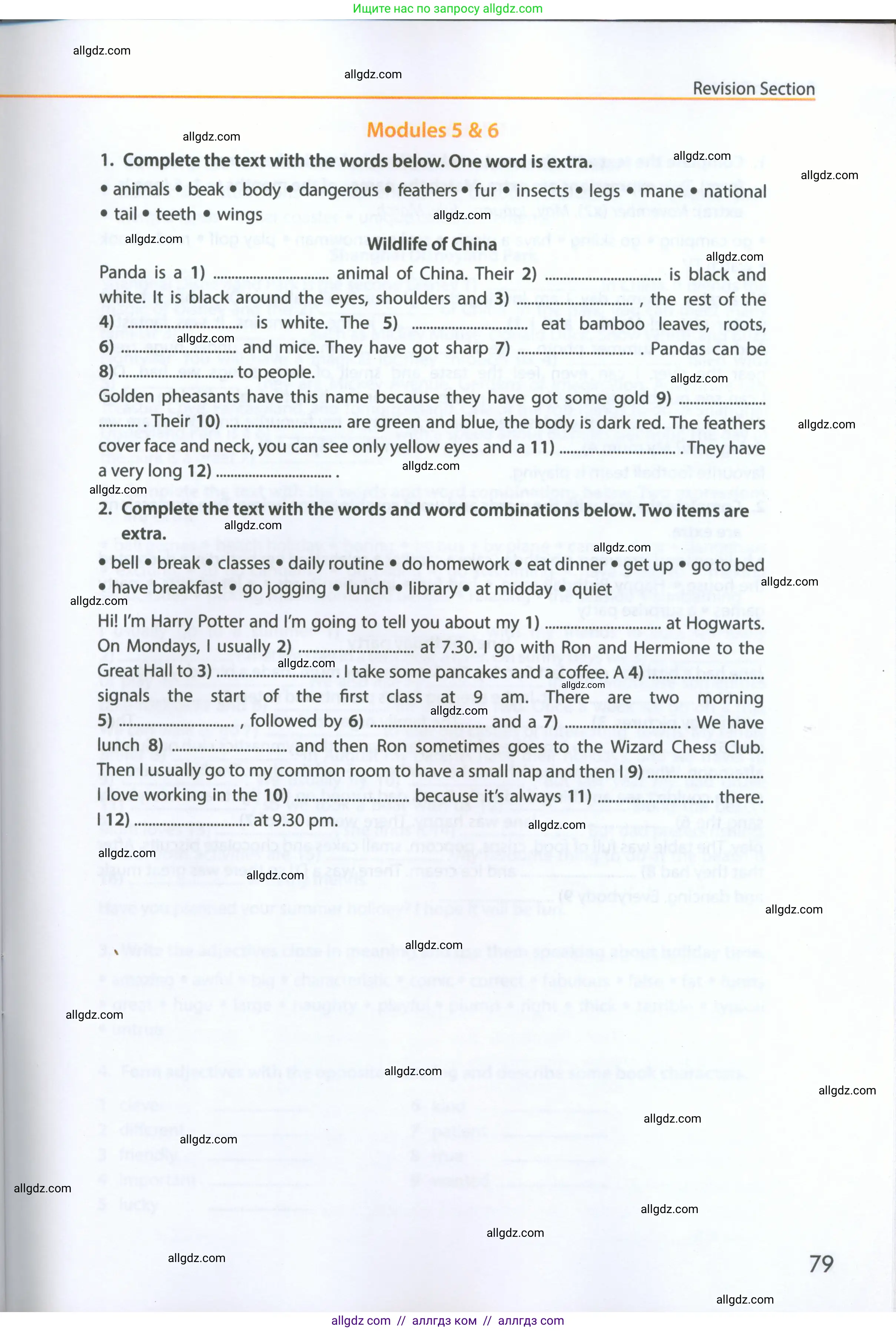 Английский язык (english), 5 класс Рабочая тетрадь (workbook), авторы: Ваулина Юлия Евгеньевна (Vaulina Julia), Дули Дженни (Dooley Jenny), Подоляко Ольга Евгеньевна (Podolyako Olga), Эванс Вирджиния (Evans Virginia), издательство Просвещение, Москва, 2023, жёлтого цвета, страница 79