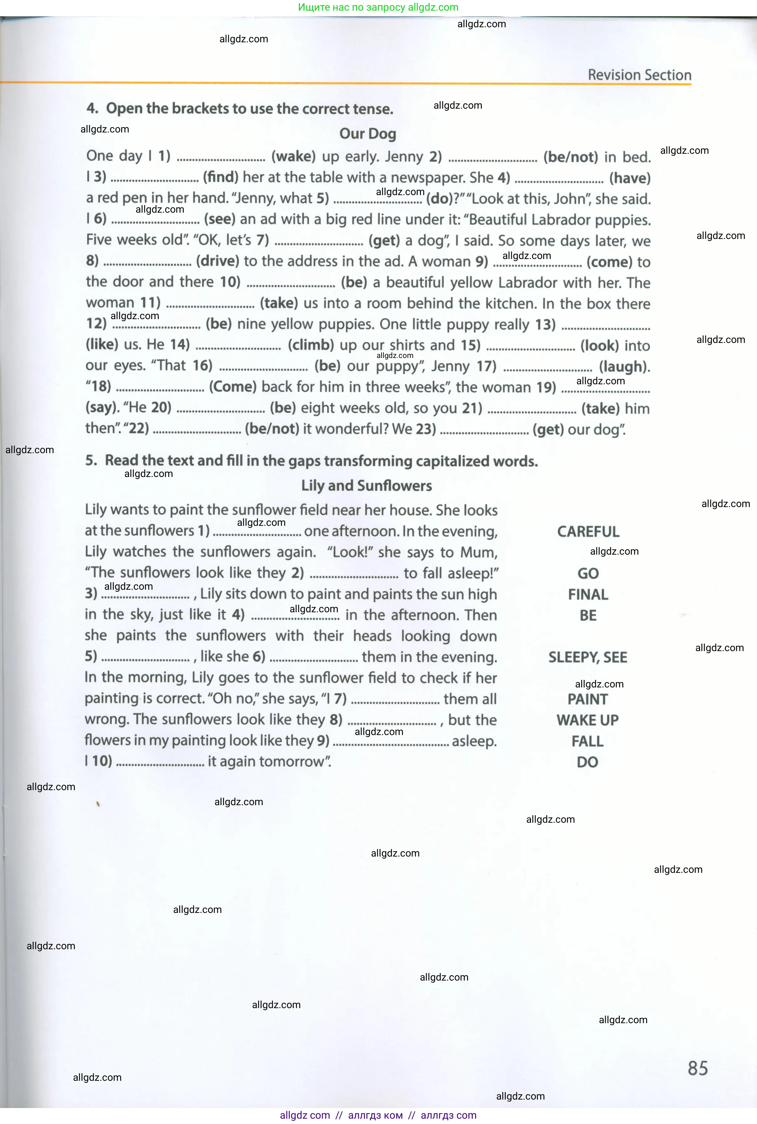 Английский язык (english), 5 класс Рабочая тетрадь (workbook), авторы: Ваулина Юлия Евгеньевна (Vaulina Julia), Дули Дженни (Dooley Jenny), Подоляко Ольга Евгеньевна (Podolyako Olga), Эванс Вирджиния (Evans Virginia), издательство Просвещение, Москва, 2023, жёлтого цвета, страница 85