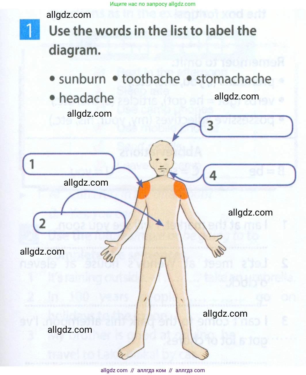 Английский язык (english), 5 класс Рабочая тетрадь (workbook), авторы: Ваулина Юлия Евгеньевна (Vaulina Julia), Дули Дженни (Dooley Jenny), Подоляко Ольга Евгеньевна (Podolyako Olga), Эванс Вирджиния (Evans Virginia), издательство Просвещение, Москва, 2023, жёлтого цвета, страница 65, номер 1, Условие 2023-2027