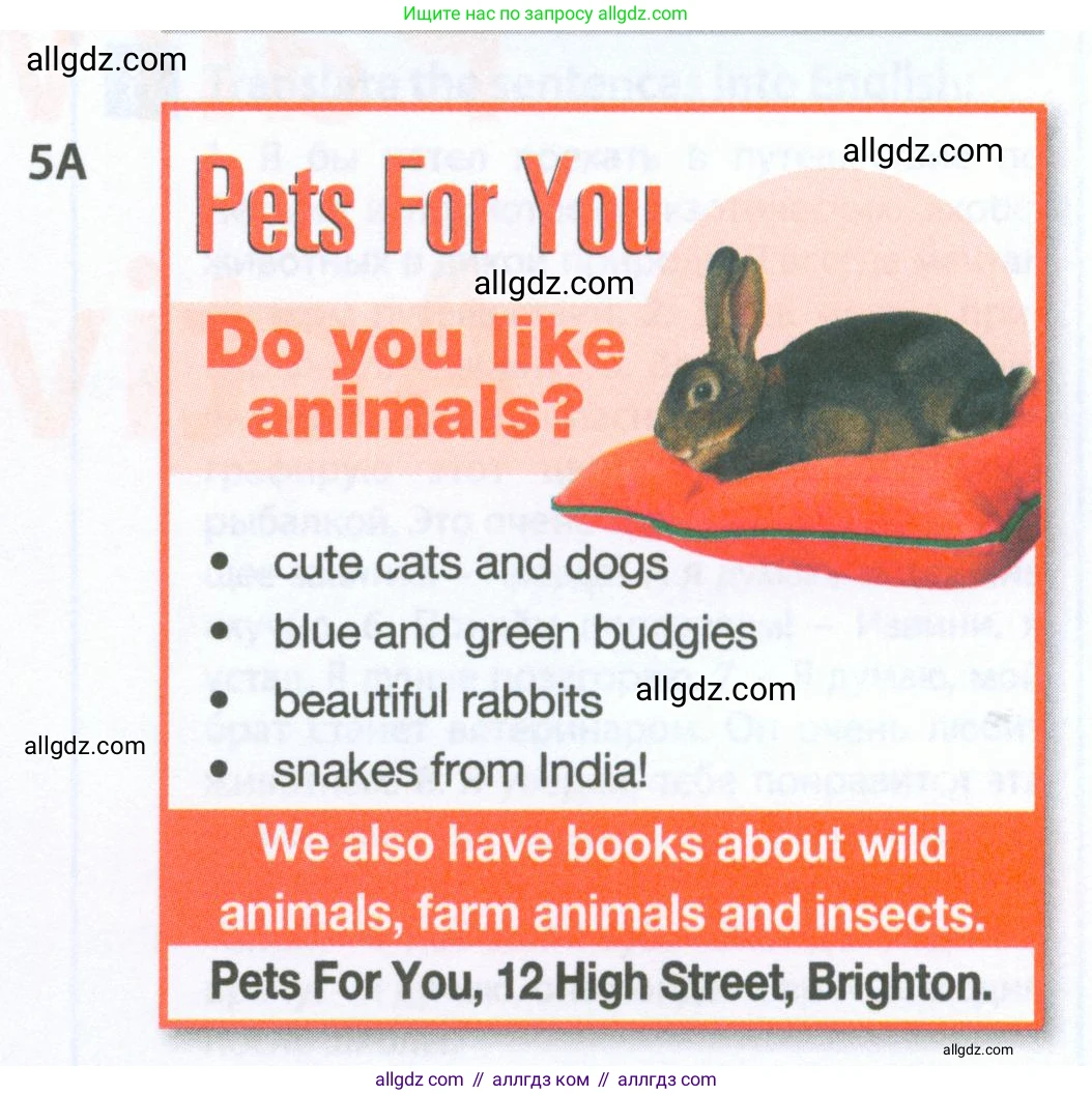 Английский язык (english), 5 класс Рабочая тетрадь (workbook), авторы: Ваулина Юлия Евгеньевна (Vaulina Julia), Дули Дженни (Dooley Jenny), Подоляко Ольга Евгеньевна (Podolyako Olga), Эванс Вирджиния (Evans Virginia), издательство Просвещение, Москва, 2023, жёлтого цвета, страница 70, номер 5, Условие 2023-2027