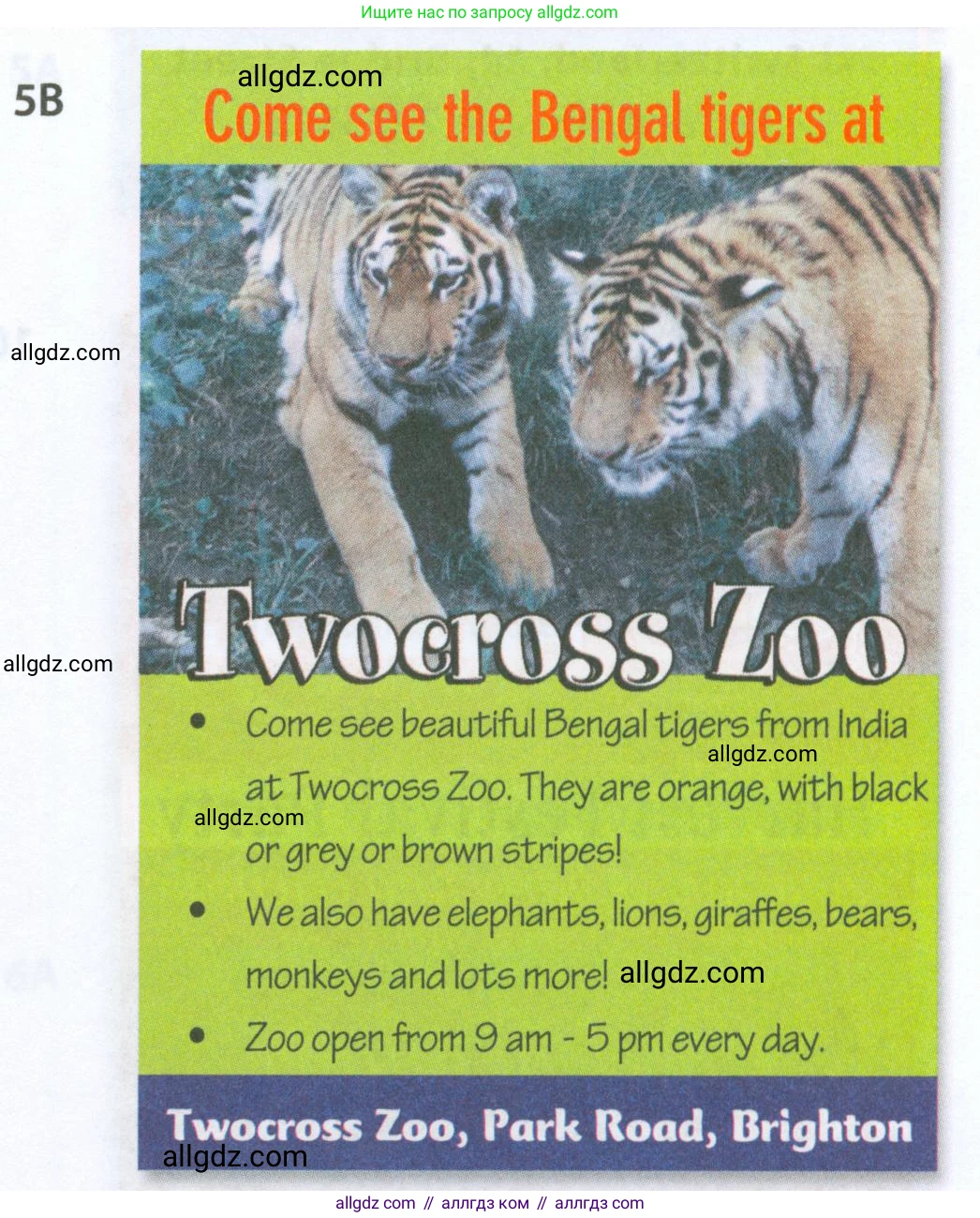 Английский язык (english), 5 класс Рабочая тетрадь (workbook), авторы: Ваулина Юлия Евгеньевна (Vaulina Julia), Дули Дженни (Dooley Jenny), Подоляко Ольга Евгеньевна (Podolyako Olga), Эванс Вирджиния (Evans Virginia), издательство Просвещение, Москва, 2023, жёлтого цвета, страница 72, номер 5, Условие 2023-2027