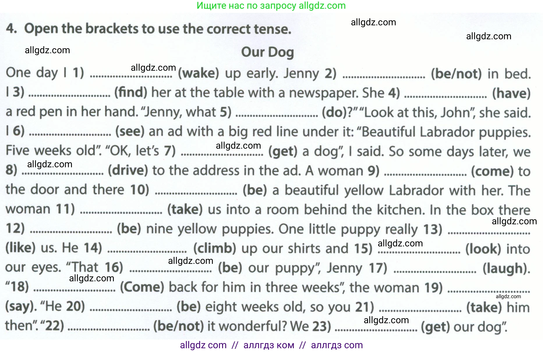 Английский язык (english), 5 класс Рабочая тетрадь (workbook), авторы: Ваулина Юлия Евгеньевна (Vaulina Julia), Дули Дженни (Dooley Jenny), Подоляко Ольга Евгеньевна (Podolyako Olga), Эванс Вирджиния (Evans Virginia), издательство Просвещение, Москва, 2023, жёлтого цвета, страница 85, номер 4, Условие 2023-2027
