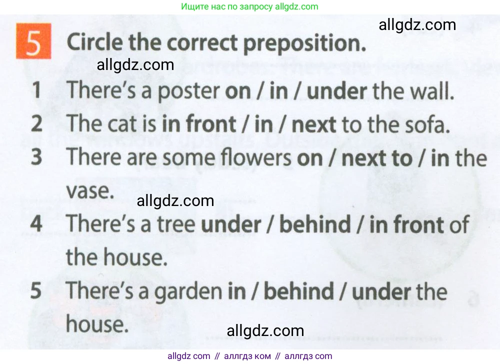 Английский язык (english), 5 класс Рабочая тетрадь (workbook), авторы: Ваулина Юлия Евгеньевна (Vaulina Julia), Дули Дженни (Dooley Jenny), Подоляко Ольга Евгеньевна (Podolyako Olga), Эванс Вирджиния (Evans Virginia), издательство Просвещение, Москва, 2023, жёлтого цвета, страница 26, номер 5, Условие 2023-2027