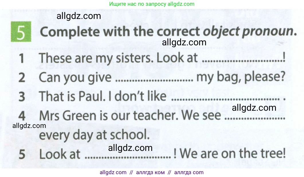 Английский язык (english), 5 класс Рабочая тетрадь (workbook), авторы: Ваулина Юлия Евгеньевна (Vaulina Julia), Дули Дженни (Dooley Jenny), Подоляко Ольга Евгеньевна (Podolyako Olga), Эванс Вирджиния (Evans Virginia), издательство Просвещение, Москва, 2023, жёлтого цвета, страница 31, номер 5, Условие 2023-2027