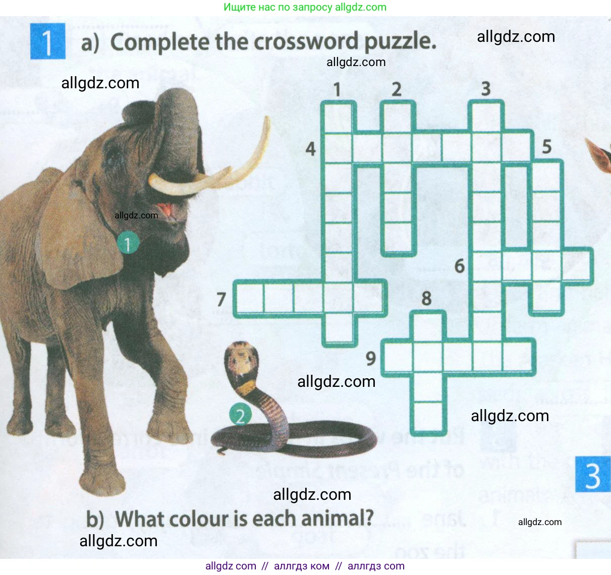 Английский язык (english), 5 класс Рабочая тетрадь (workbook), авторы: Ваулина Юлия Евгеньевна (Vaulina Julia), Дули Дженни (Dooley Jenny), Подоляко Ольга Евгеньевна (Podolyako Olga), Эванс Вирджиния (Evans Virginia), издательство Просвещение, Москва, 2023, жёлтого цвета, страница 33, номер 1, Условие 2023-2027